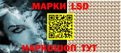 соль ск Новодвинск