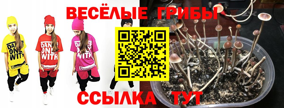 Югорск  Псилоцибиновые грибы Magic Shrooms  как найти   Вход с VPN 